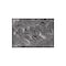 World Rug Gallery Contemporary Palm Leaf Textured Flat Weave Indoor/Outdoor Area Rug 2' x 3' Black 118BLACK2X3 - alternate 7